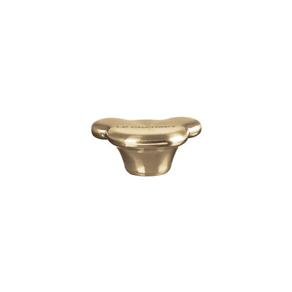 小熊鋼頭 (淡金) image number 1