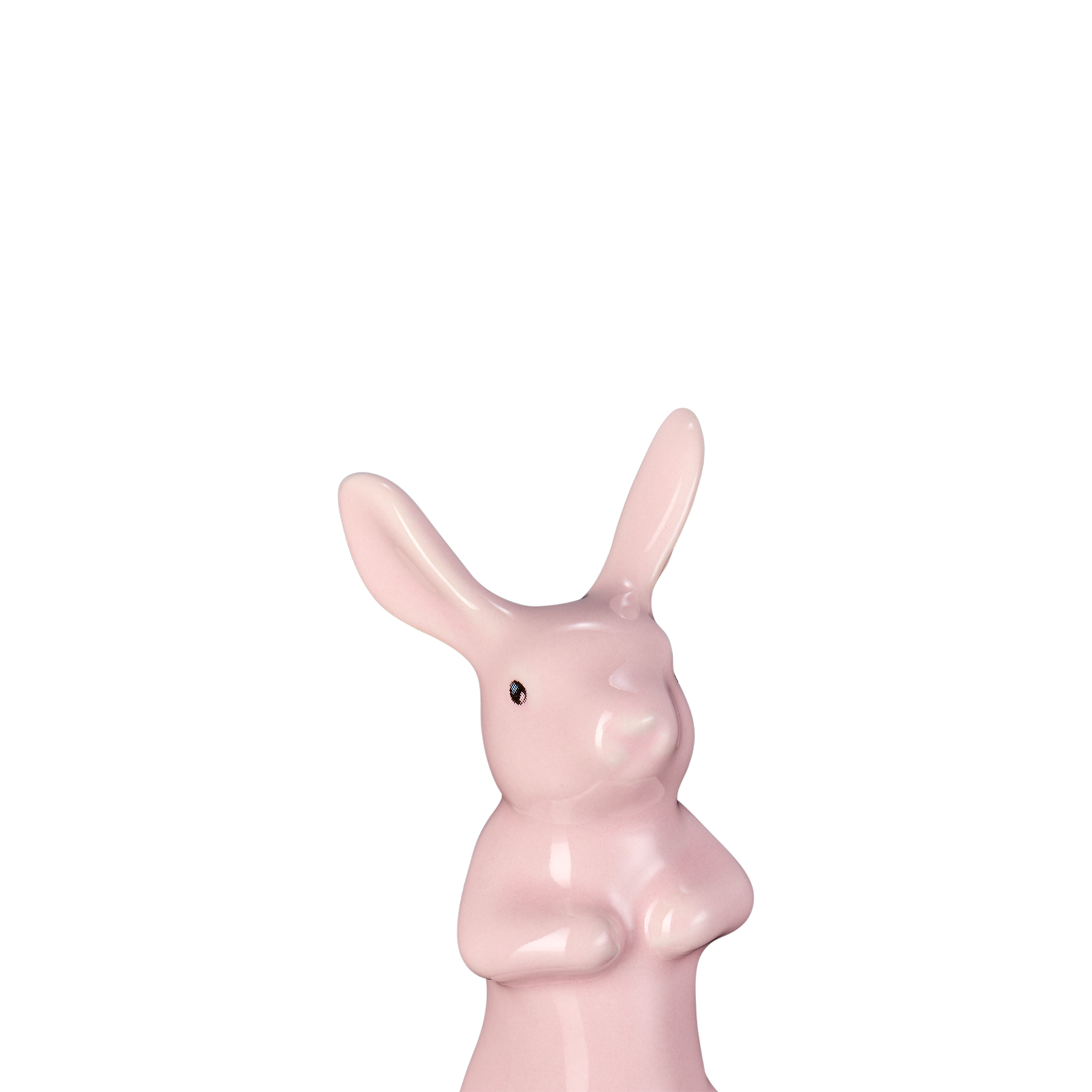 派兔 image number 1