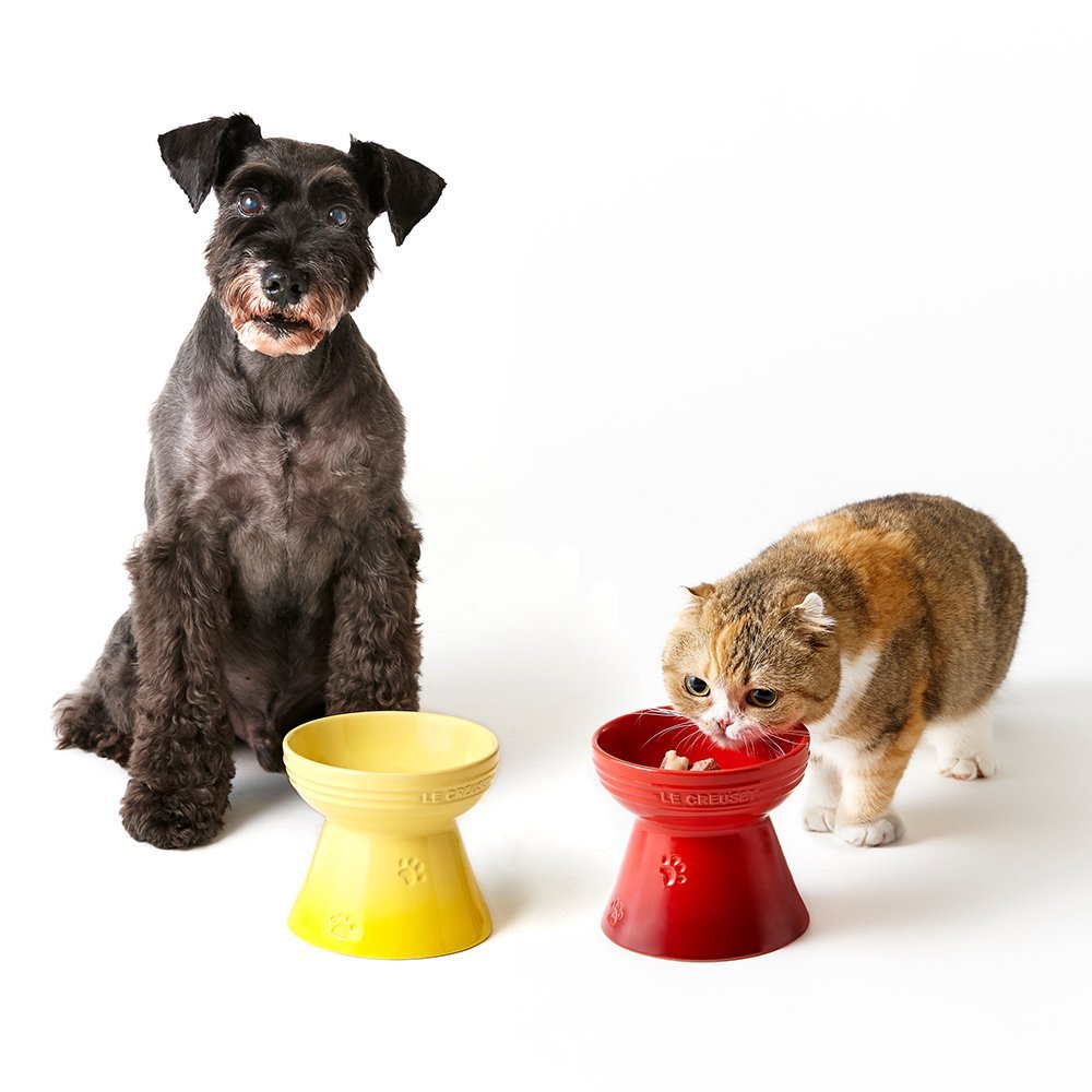 寵物高腳碗 image number 4